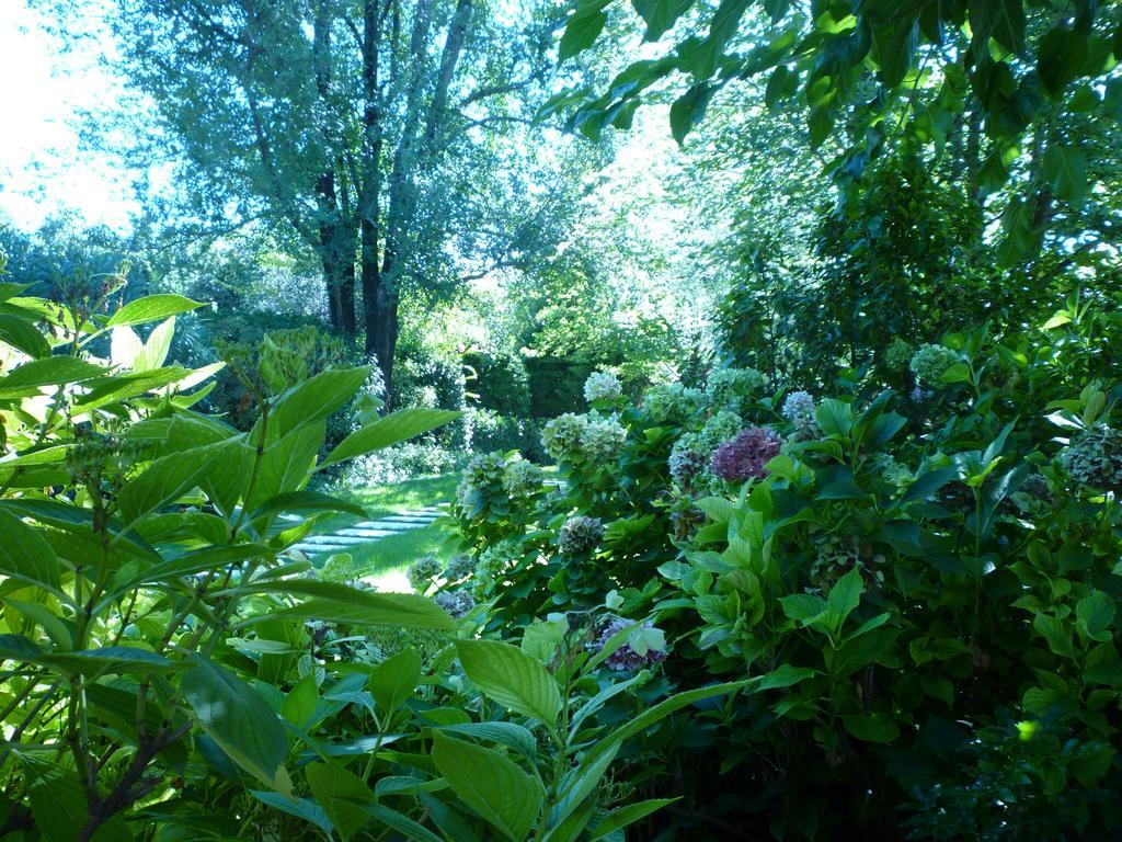 B&B Villa Dei Pini Domegliara Luaran gambar