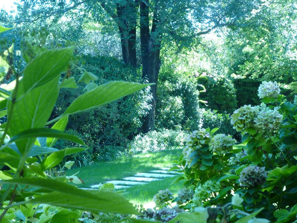 B&B Villa Dei Pini Domegliara Luaran gambar